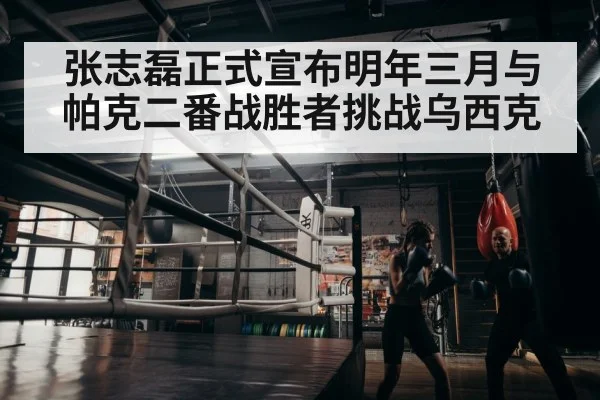 boxer training